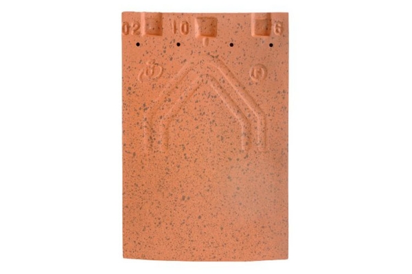 Dachówka ceramiczna PLATE  20X30 - Paysage | Edilians-Zamarat